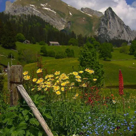 Chalet Am Lift Holiday home *